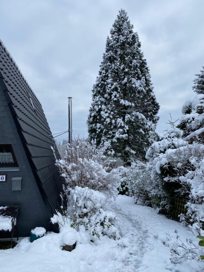 Ferienhaus Im Feriendorf Freilingen Freilingen  Esterno foto